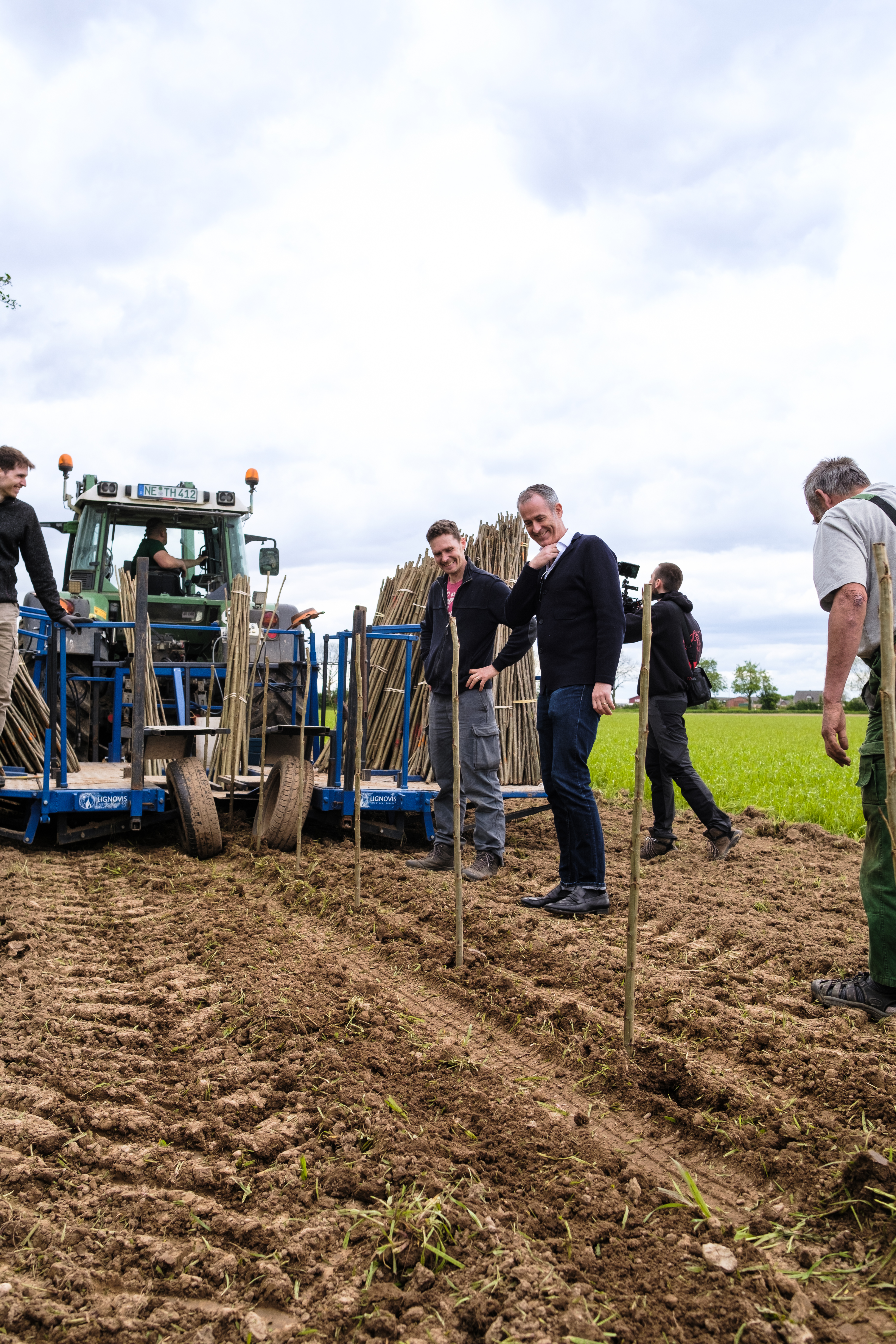 Pappelpflanzung Agroforst Lammertzhof