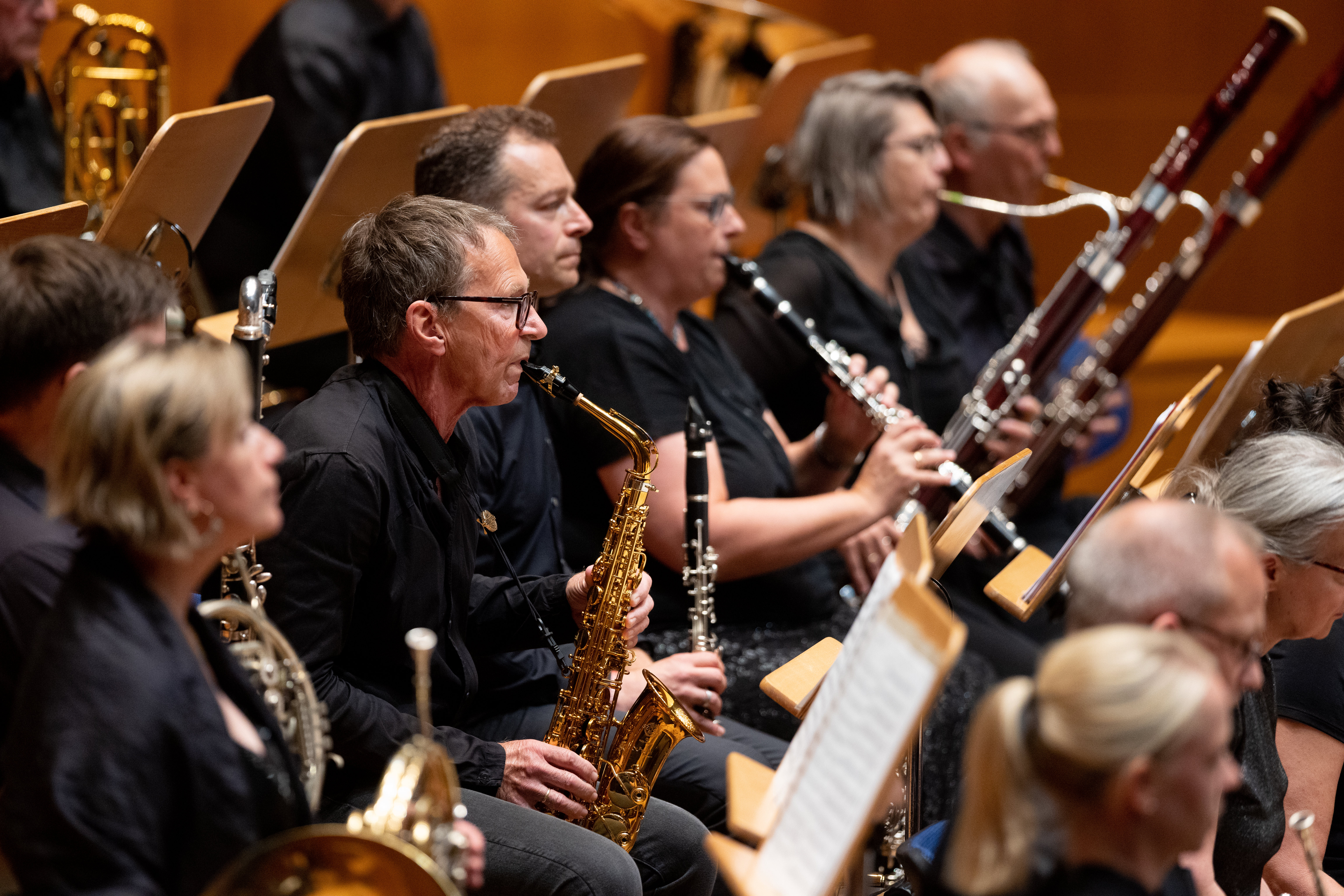 Publikumsorchester der Tonhalle Düsseldorf